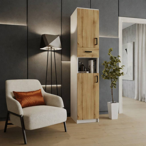 Распашной шкаф-21-пенал