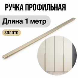 Распашной шкаф 56