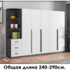 Распашной шкаф 66
