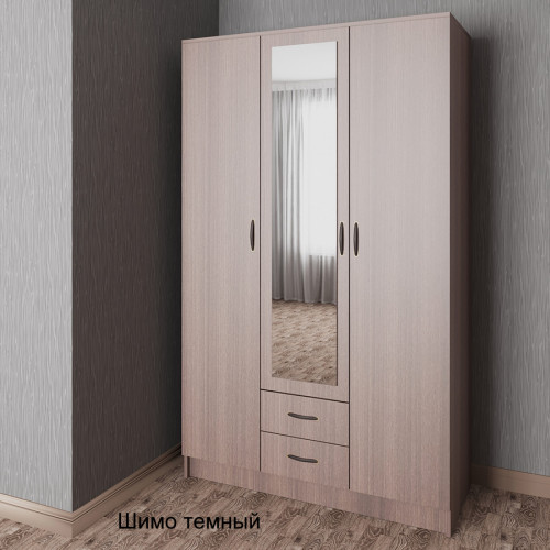 Распашной шкаф 11