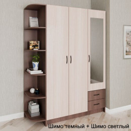 Распашной шкаф 38