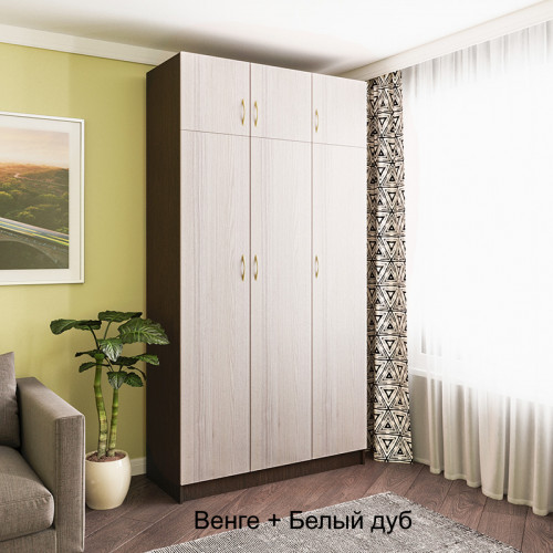 Распашной шкаф 43