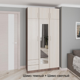 Распашной шкаф 44
