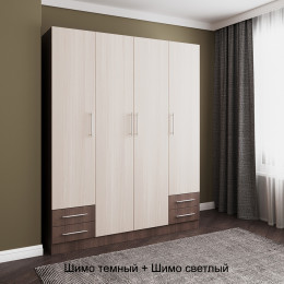 Распашной шкаф 46