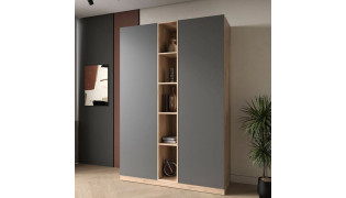 Распашной шкаф 98