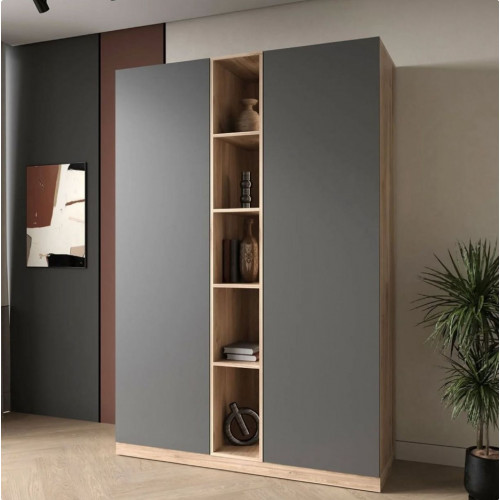 Распашной шкаф 98