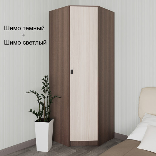 Угловой шкаф 01